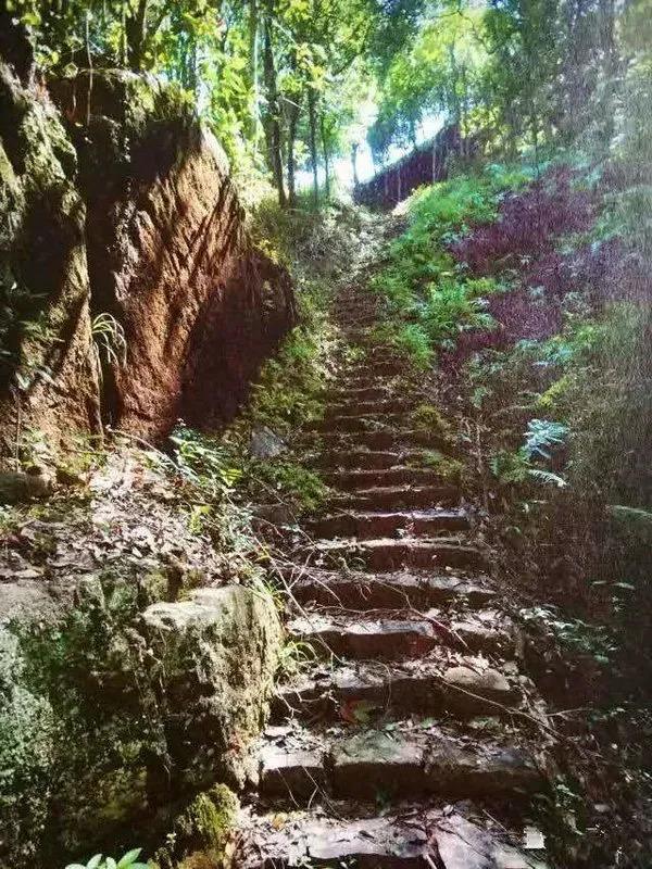 左為石鼓嶺古道,右為石人