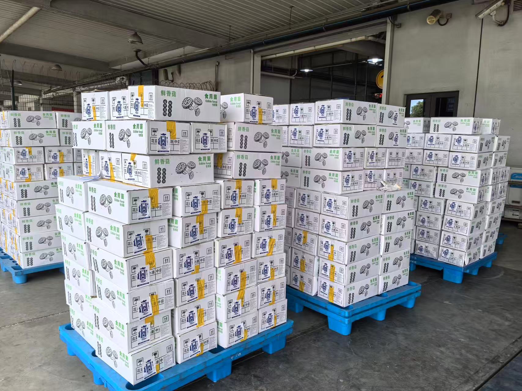 �����й���·��ͨ�������� ���ݻ�����������ũ����̬����