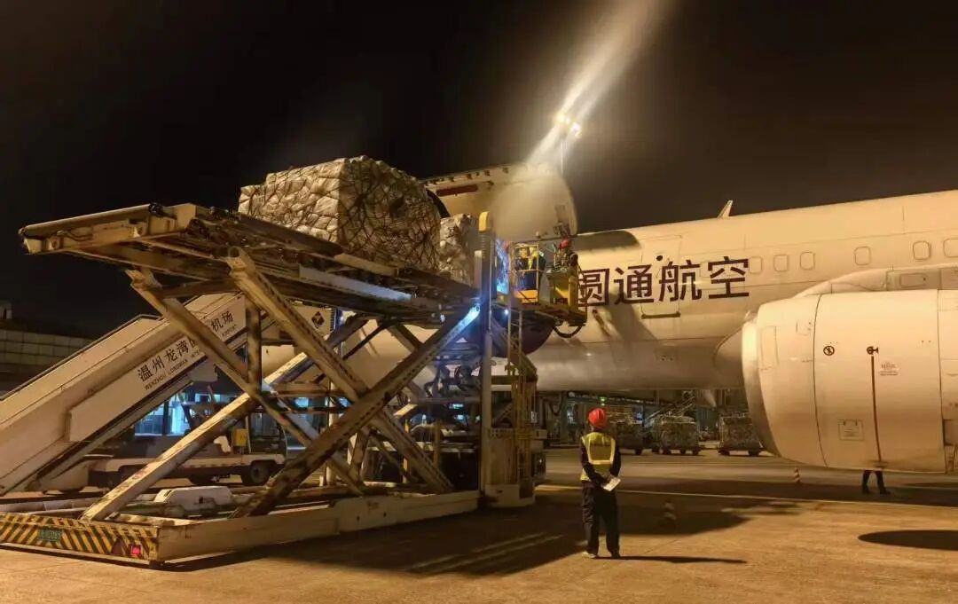 13�쳬ȥ��ȫ�꣡���ݿո�﮵�س��ڱ�����ʮ��