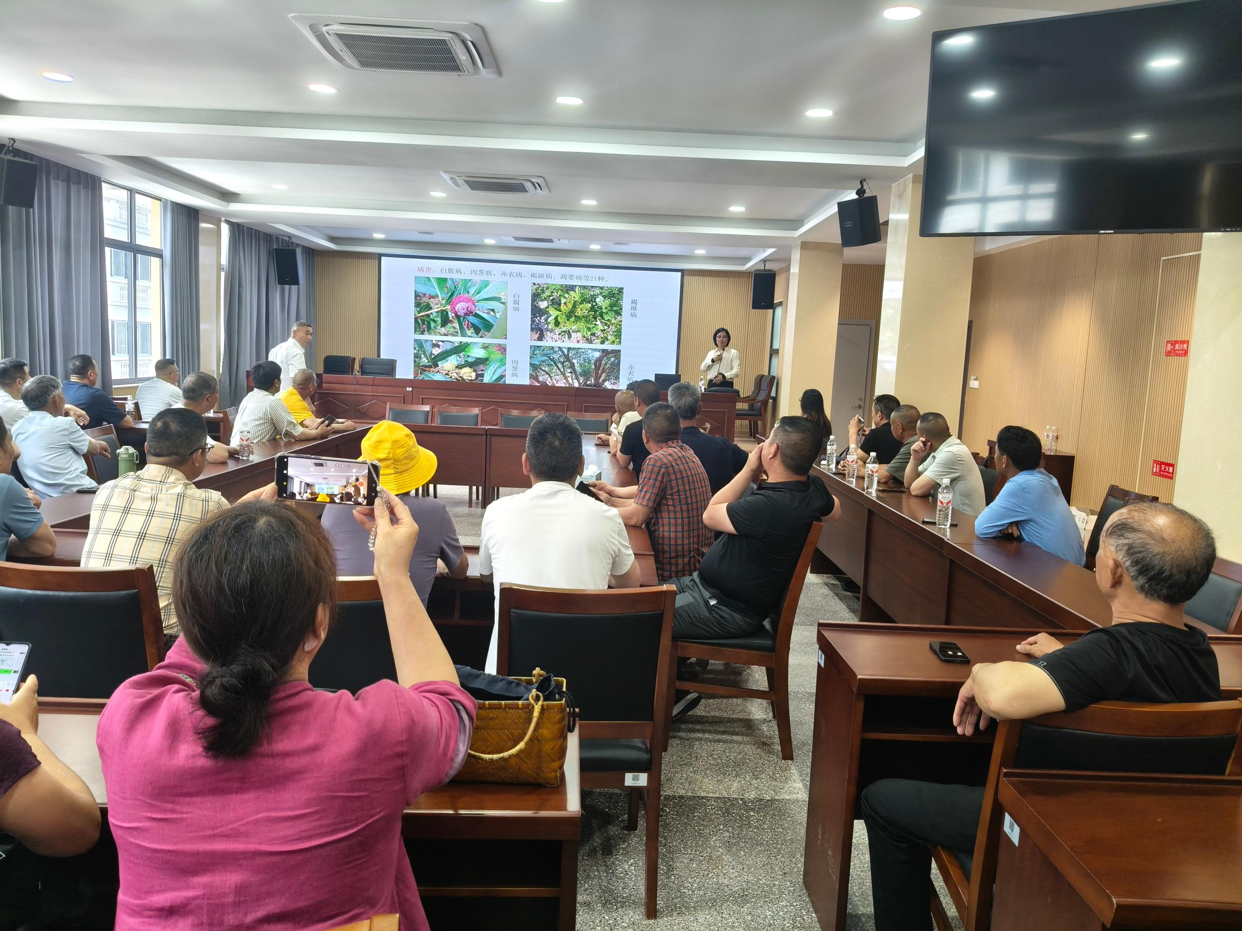 抢抓关键期,充电助丰收!乐清杨梅种植大户集中“取经”
