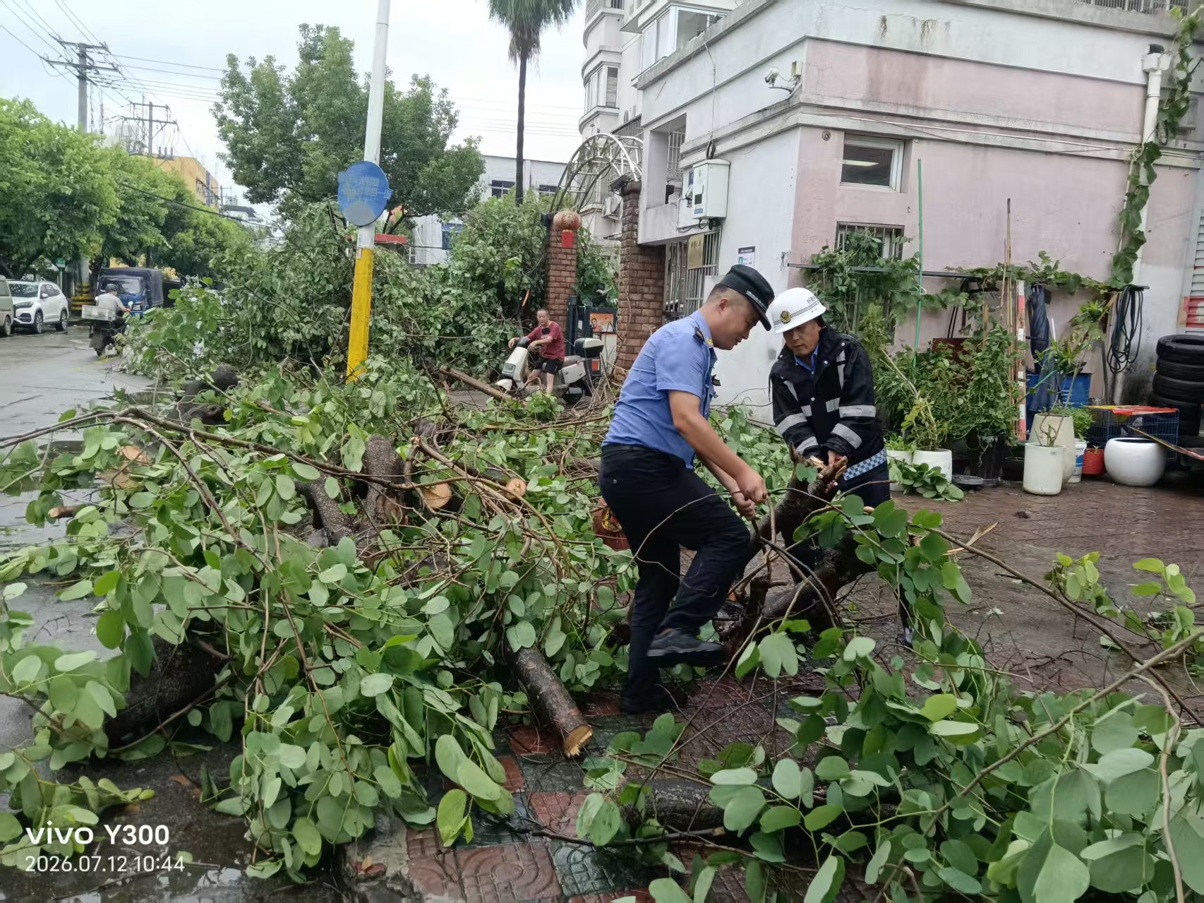 风雨过后,龙湾蒲州快速恢复秩序保畅通