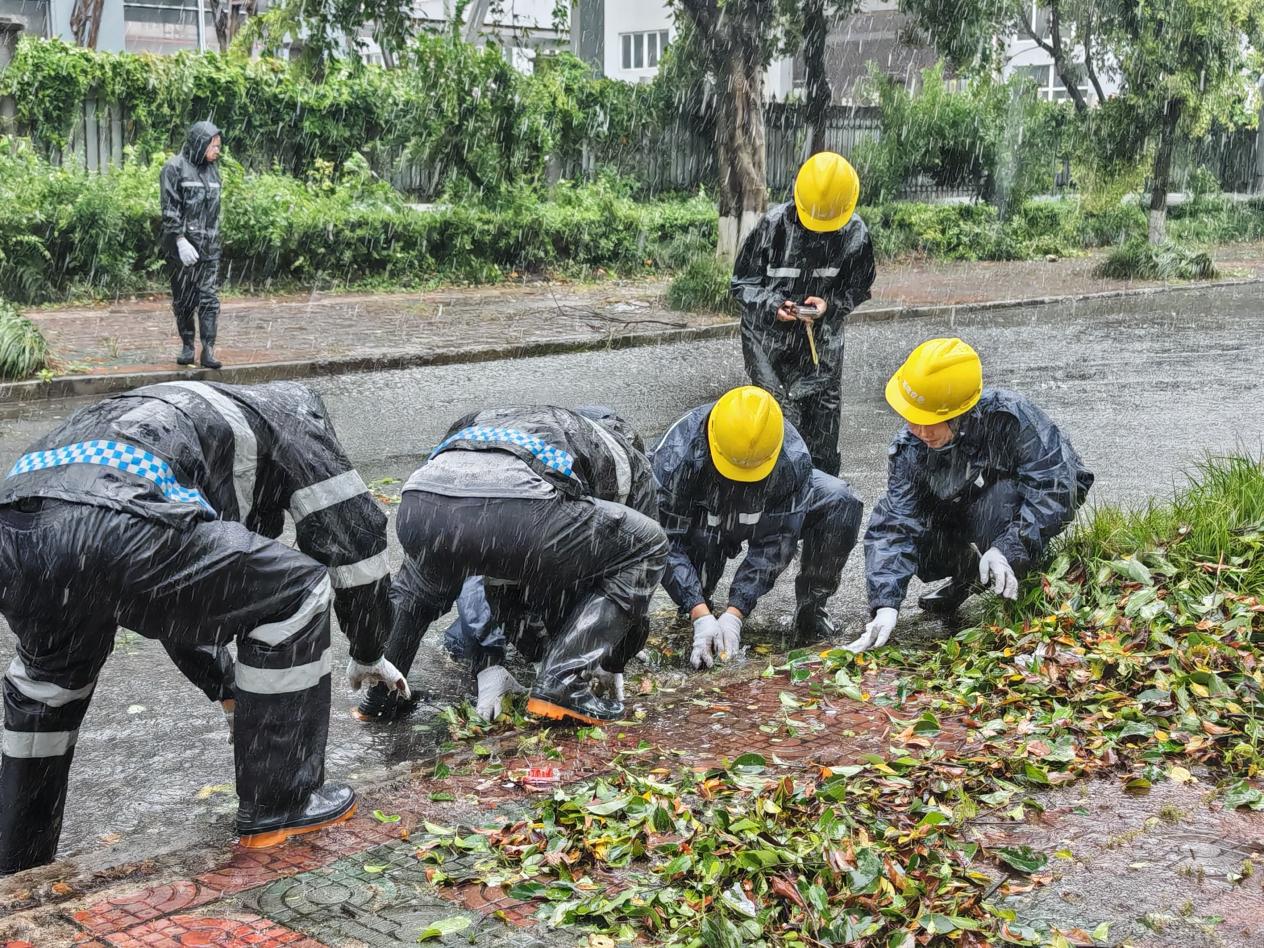 龙湾星海:风雨过后按下“恢复键” 干群同心守护家园