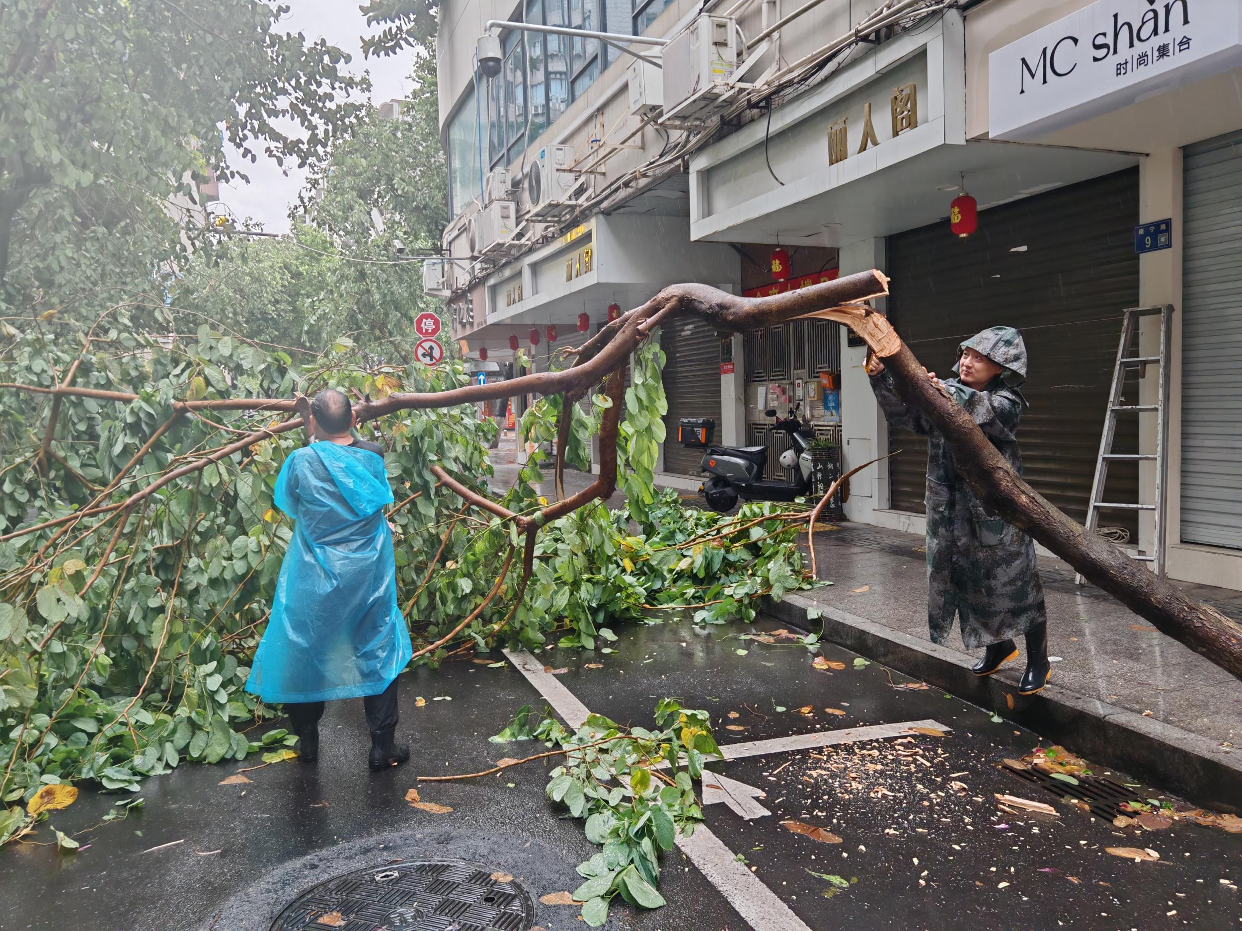 鹿城五马:风雨过后不放松 全力开启灾后恢复“加速度”