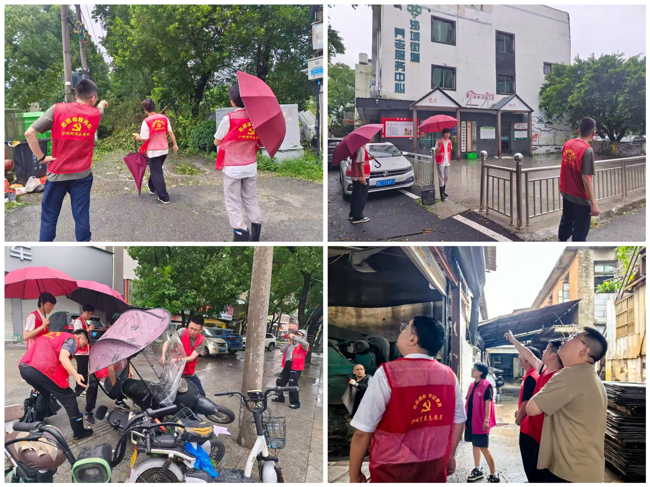 风雨中的“逆行者”,龙湾沙城干群齐心绘就灾后“温暖底色”